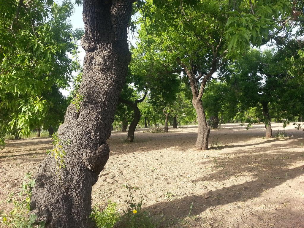 A Lumia Villa Noto Exteriör bild