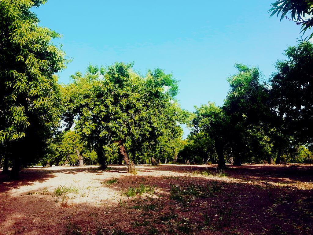 A Lumia Villa Noto Exteriör bild