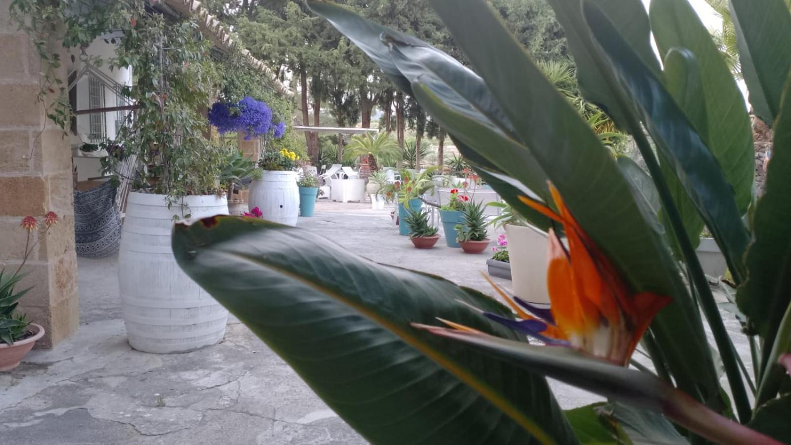 A Lumia Villa Noto Exteriör bild