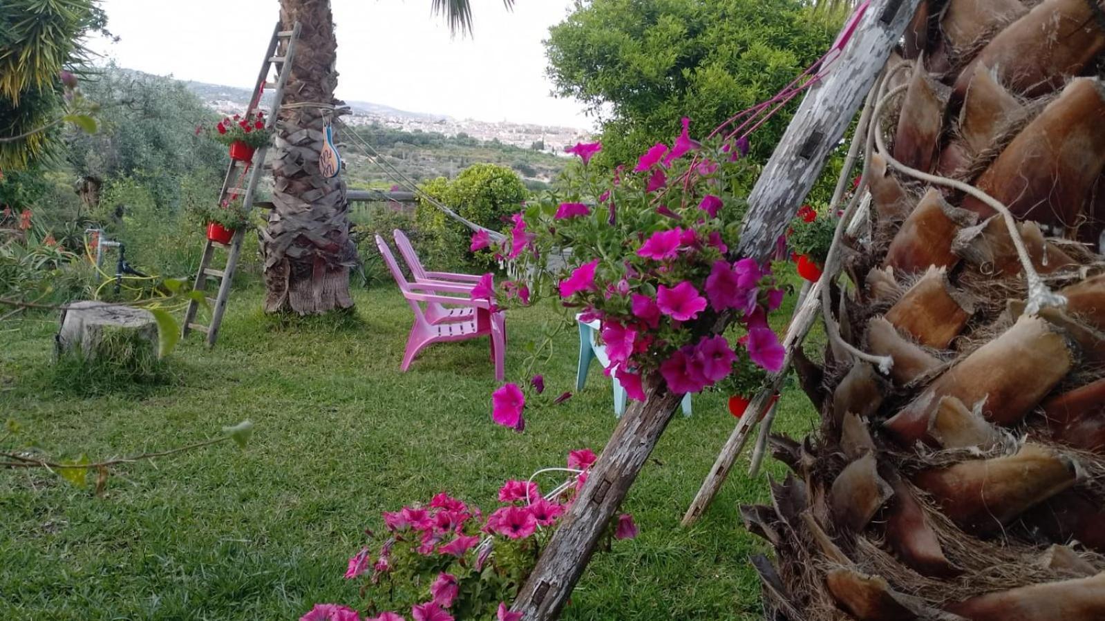 A Lumia Villa Noto Exteriör bild